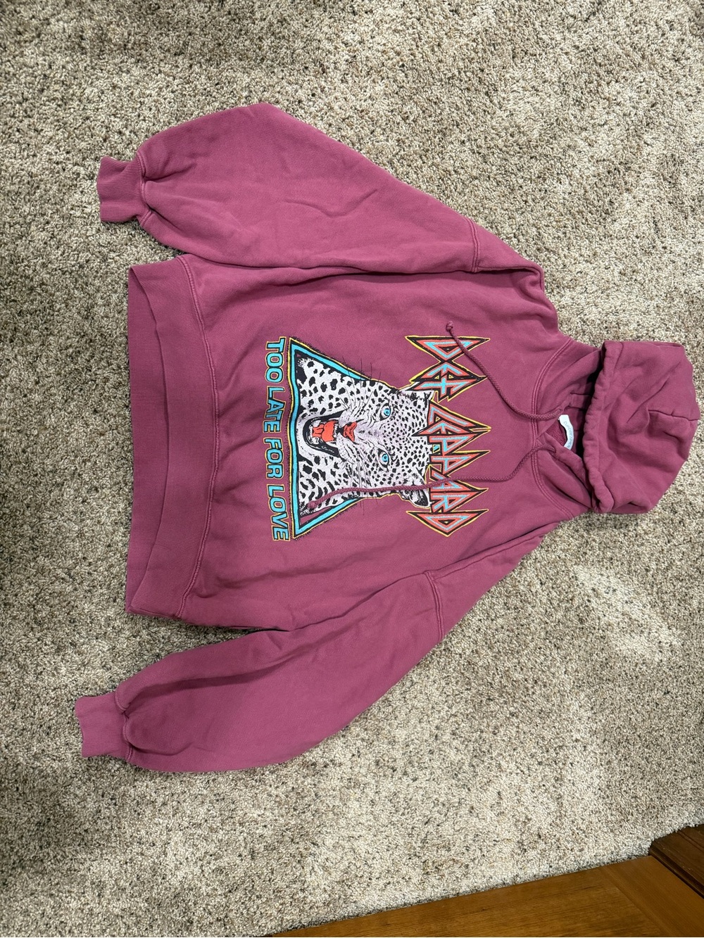 Daydreamer Mauve 'Too Late For Love' Graphic Hoodie
